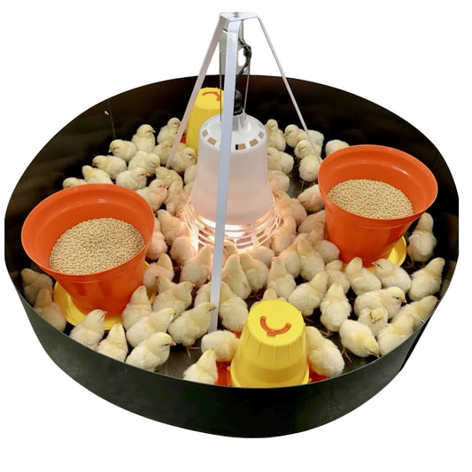 SureGrow™ 100 Chick Brooder - Infrared Electric Brooder