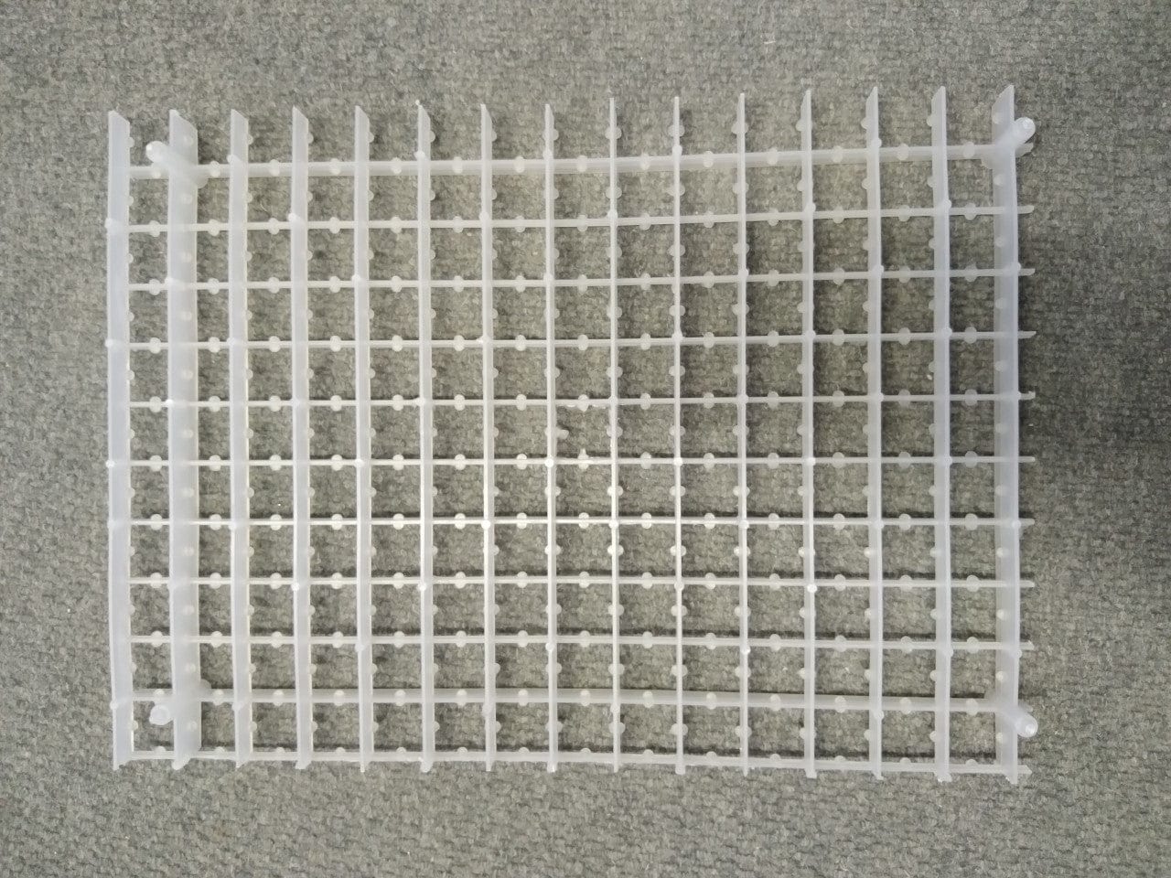 Plastic quail egg tray