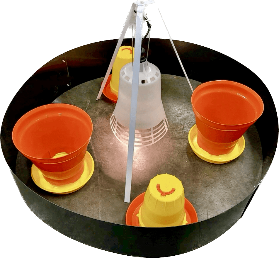 Electric Chick Brooder Kit