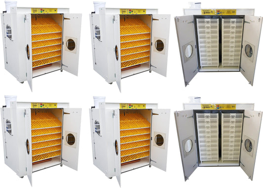12000 Egg Hatchery - Produce 2880 chicks per week - SH12000 Chick Hatchery - Surehatch Incubators