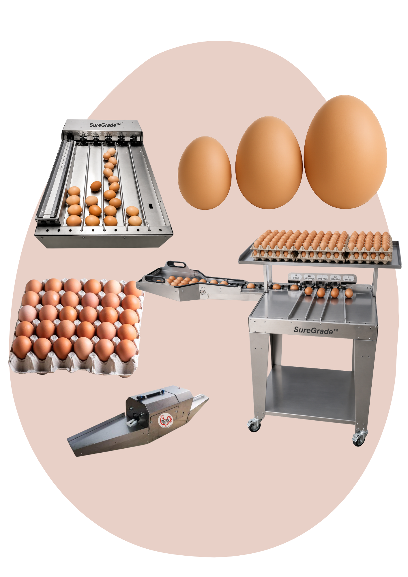 EGG GRADERS & WASHERS