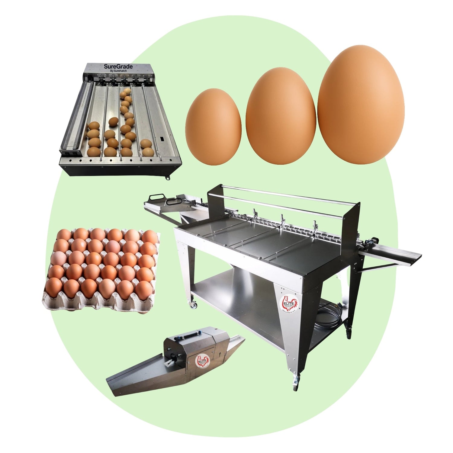 EGG GRADERS & WASHERS