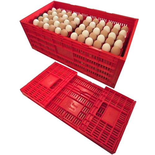 Rite Farm Products Chicken Egg Transport Crate - Surehatch Incubators