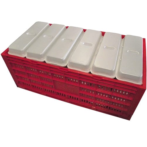 Rite Farm Products Chicken Egg Transport Crate - Surehatch Incubators