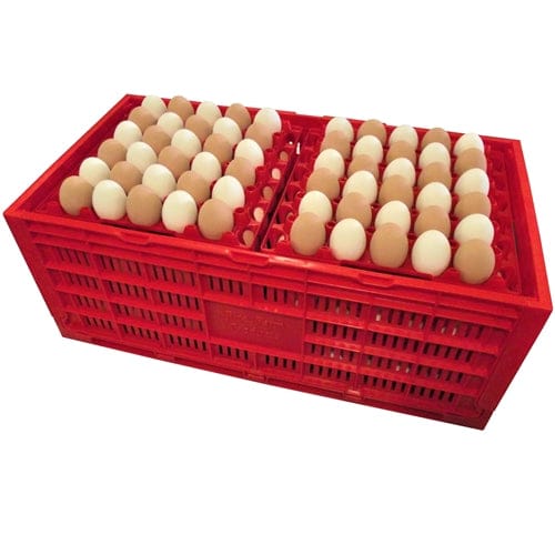 Rite Farm Products Chicken Egg Transport Crate - Surehatch Incubators