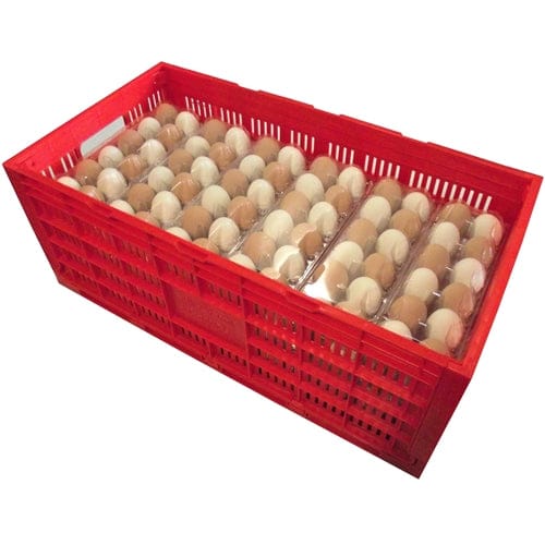 Rite Farm Products Chicken Egg Transport Crate - Surehatch Incubators