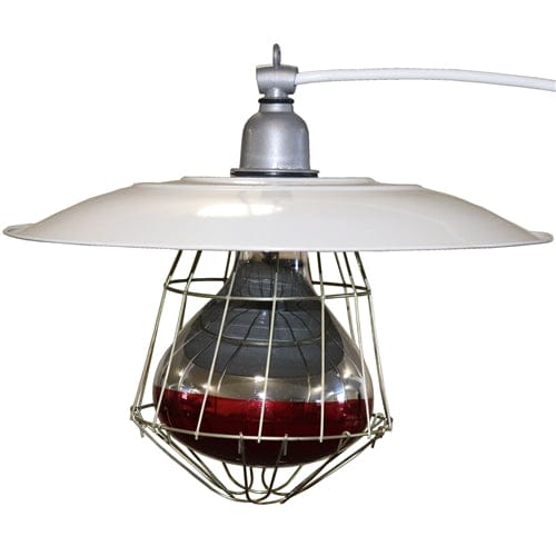 Industrial chick brooder lamp light fixture - Surehatch Incubators
