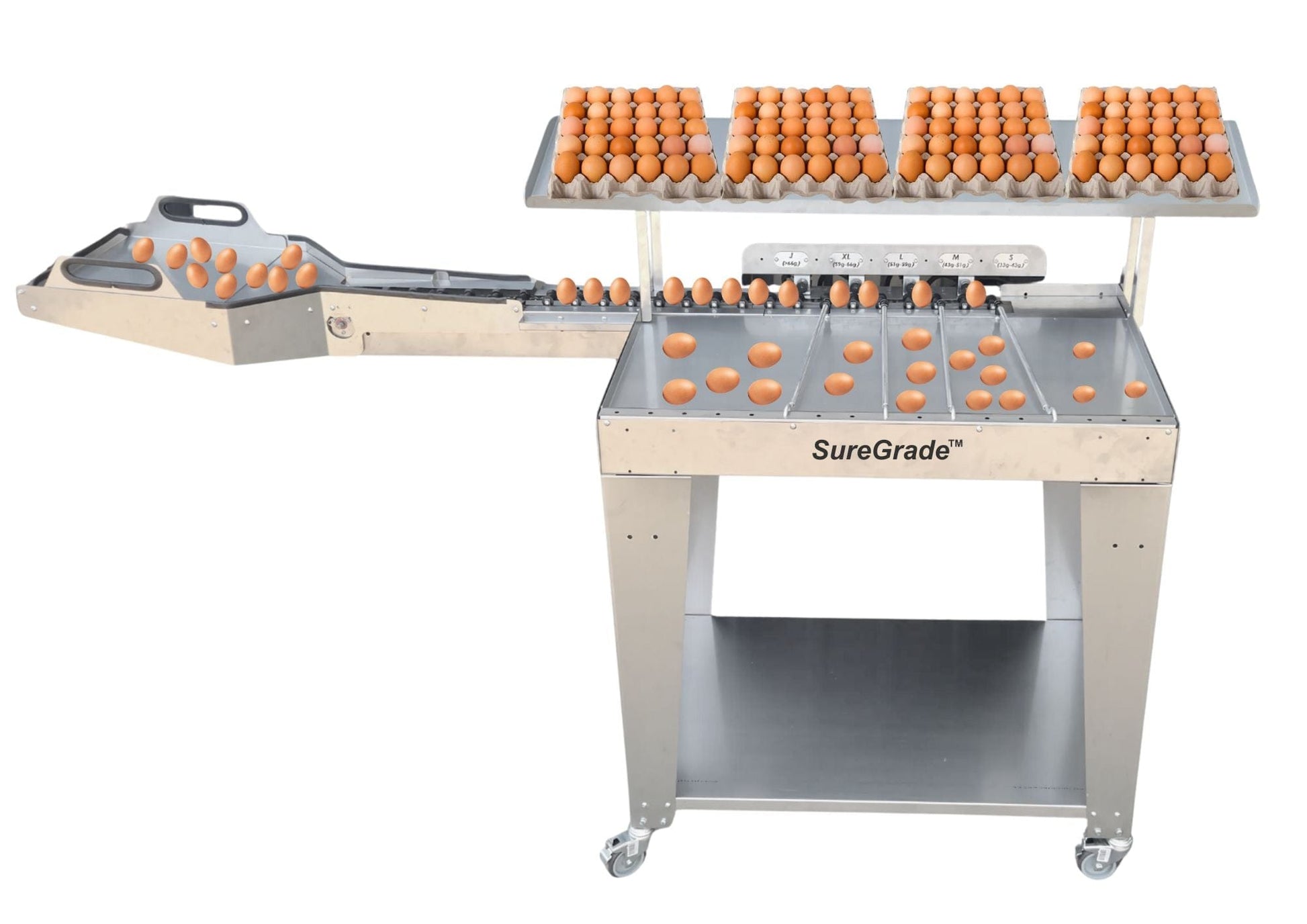 Egg grading and sorting machine USA