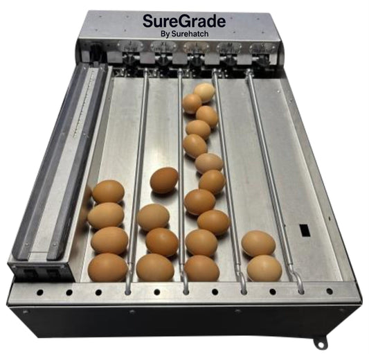 SureGrade™ 750 Egg Grader - Grade 750 Eggs per hour - Surehatch Incubators