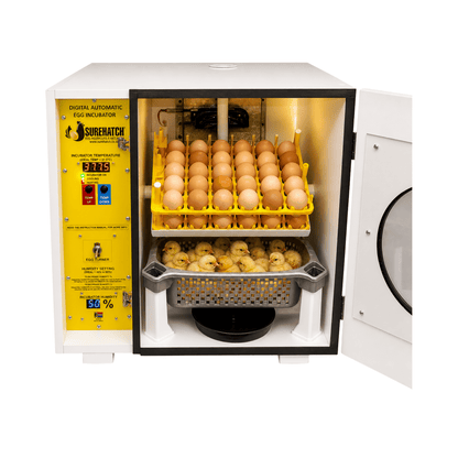 60 Egg Incubator and Hatcher - Fully Automatic Digital Surehatch SH60 - Surehatch Incubators