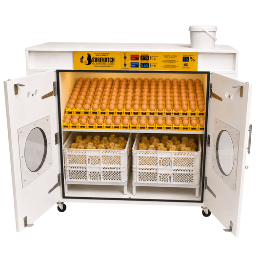 SH1000 Automatic Digital Egg Incubator and Hatcher for 1000 eggs