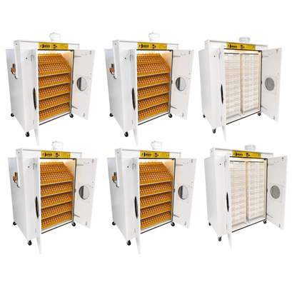 12000 Egg Hatchery - Produce 2880 chicks per week - SH12000 Chick Hatchery - Surehatch Incubators
