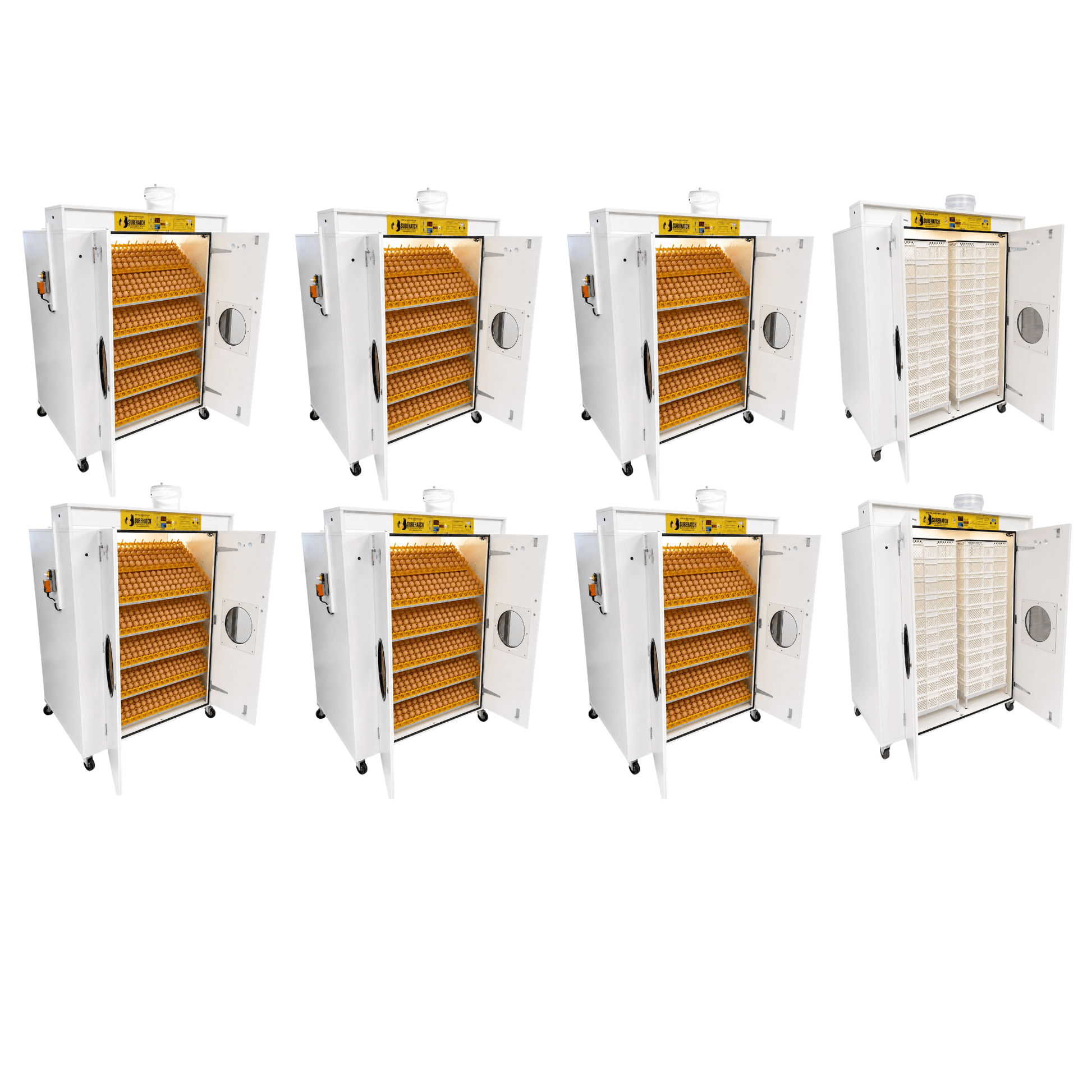 16000 Egg Hatchery - Produce 4320 chicks per week - SH16000 Chick Hatchery - Surehatch Incubators