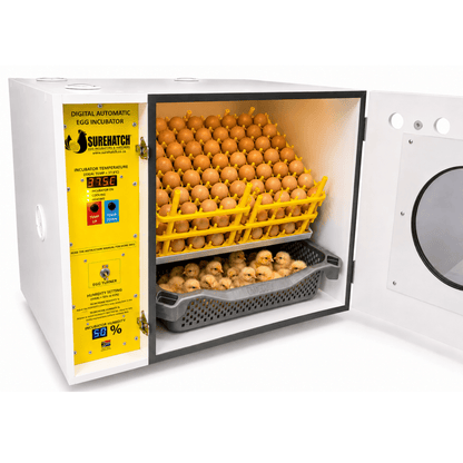 180 Egg Incubator and Hatcher - Fully Automatic Digital Model SH180