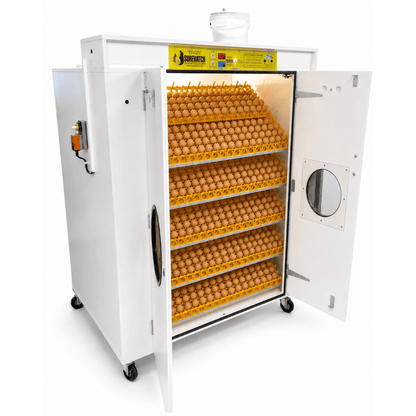 Surehatch® 2160 Egg Automatic Setter Incubator - Surehatch Incubators