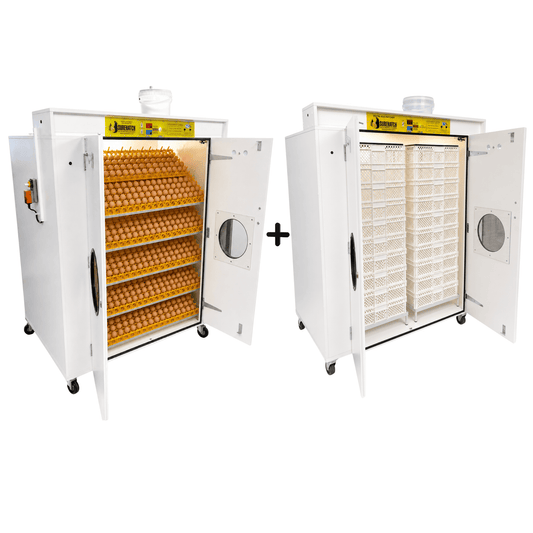 4000 Egg Hatchery - Produce 720 chicks per week - SH4000 Chick Hatchery