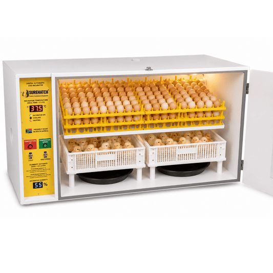 Surehatch® SH560 Automatic Digital Egg Incubator and Hatcher for 560 eggs - Surehatch Incubators