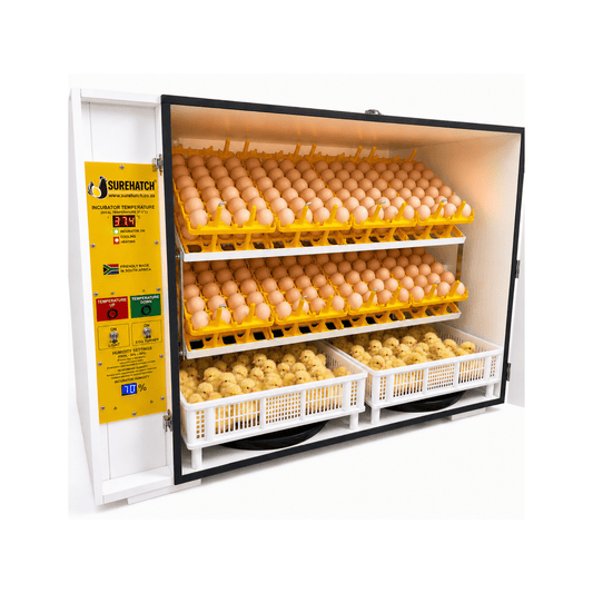 SH680 Automatic Digital Egg Incubator and Hatcher for 680 eggs - Surehatch Incubators