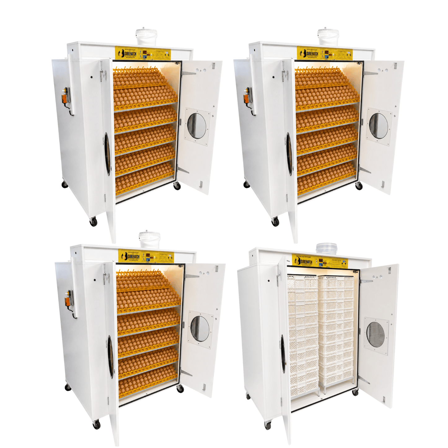 8000 Egg Hatchery - Produce 2160 chicks per week - SH8000 Chick Hatchery - Surehatch Incubators