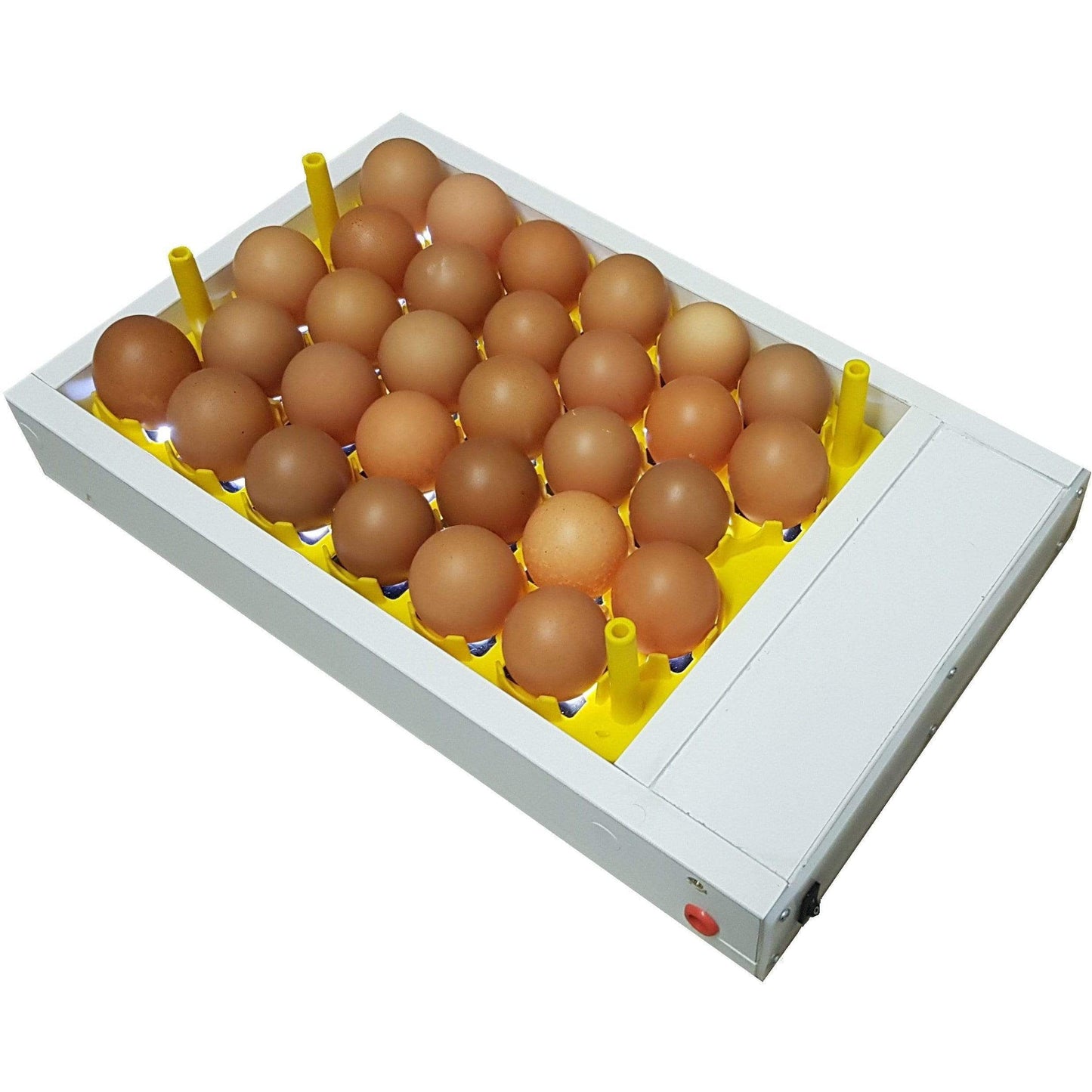 Egg Fertility Tester (Egg Candler) for 30 Chicken Eggs - SureView - Surehatch Incubators